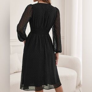 Elegant Black Sheer Dress